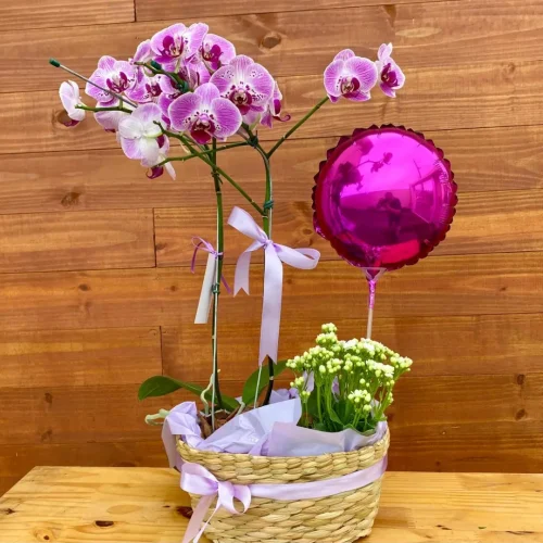 Floricultura perto de mim, flores online